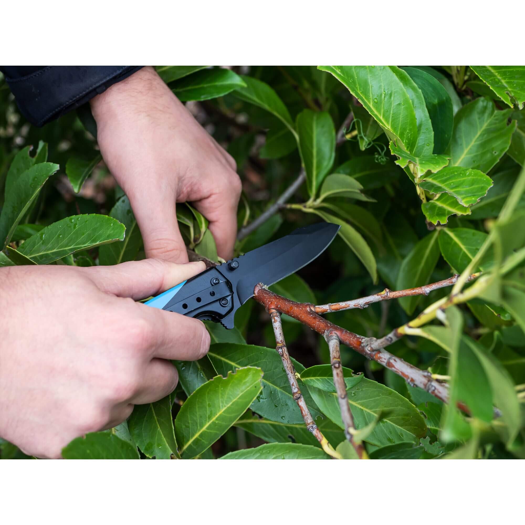 Hazet folding knife pocket knife 2157-3 115mm