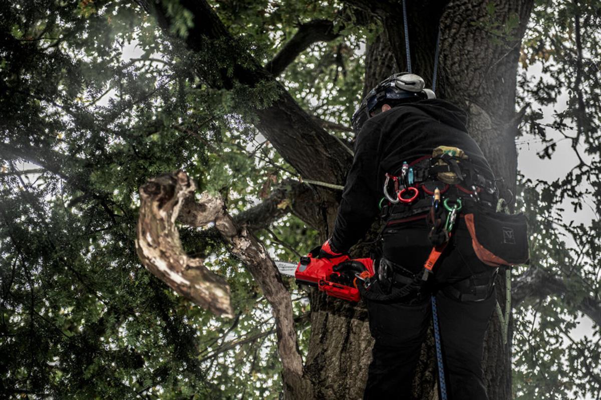 Milwaukee cordless pruning saw 12V M12FHS-602X