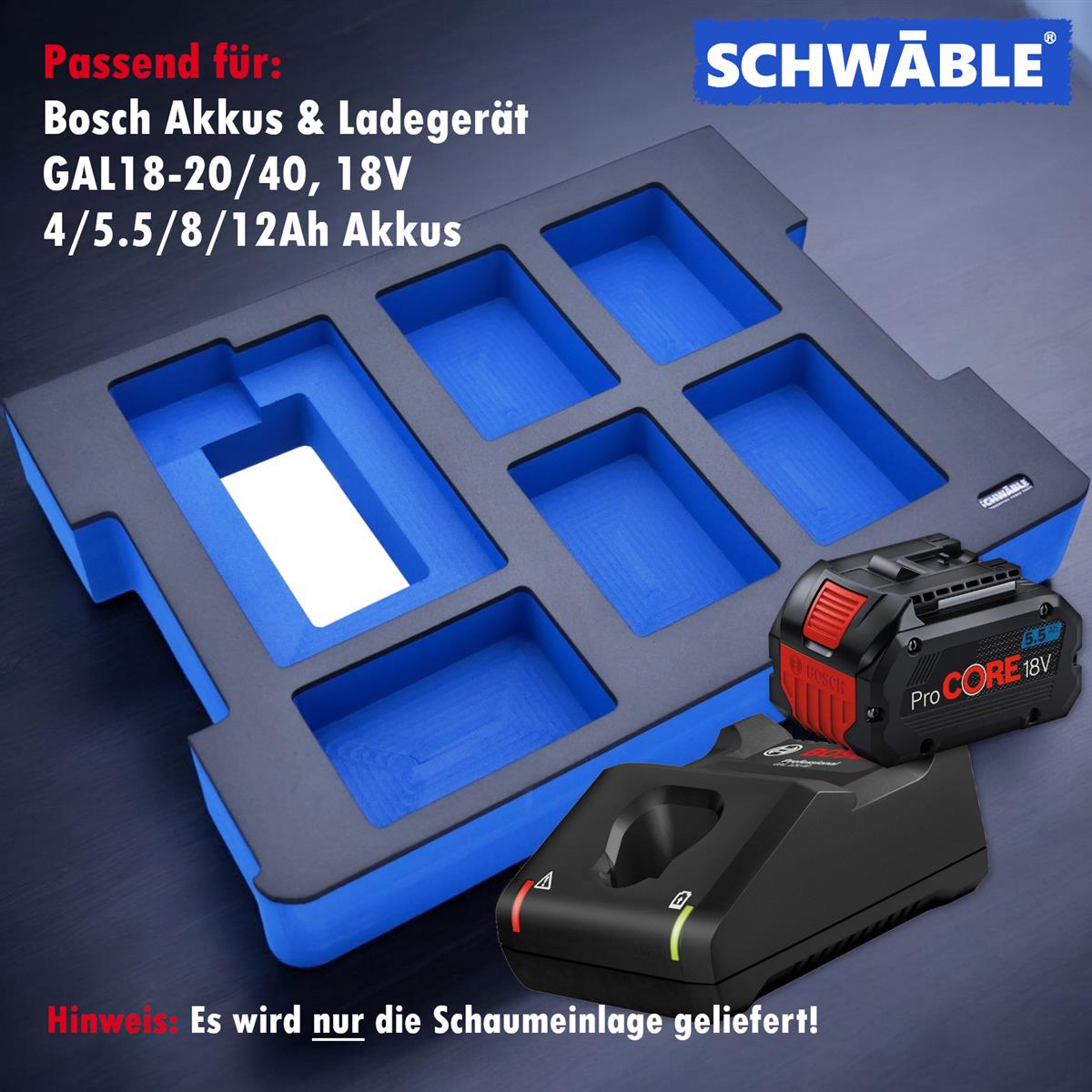 SCHWÄBLE® Foam Insert for Bosch Battery Starter Set GAL18-20-40