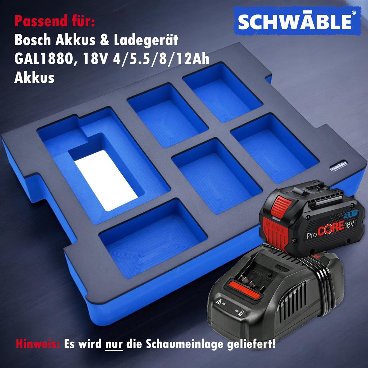 SCHWÄBLE® Foam Insert for Bosch Battery Starter Set GAL1880