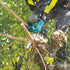 Makita Cordless Chainsaw Carving Bar 18V DUC254CZ